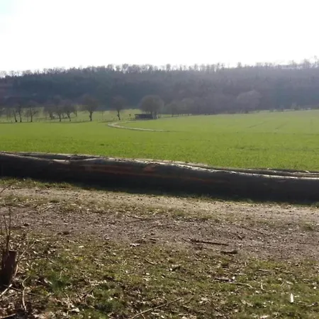 Holiday home In Germany With Garden Terrace *