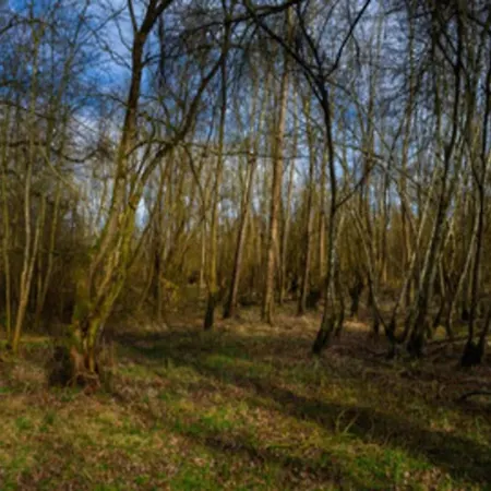 Holiday home In Germany With Garden Terrace *