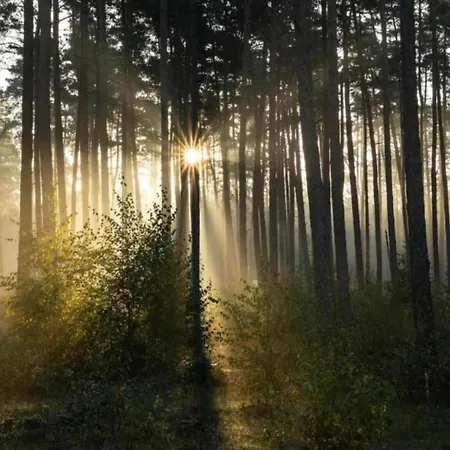 Holiday home In Germany With Garden Terrace Bredenborn