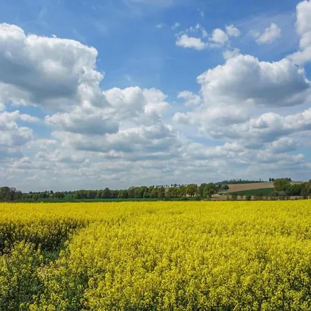 In Germany With Garden Terrace Holiday home