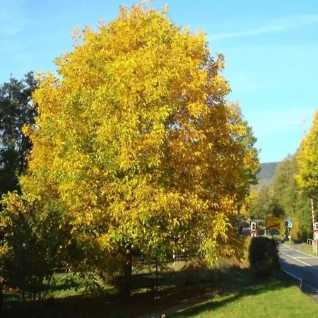 Holiday home In Germany With Garden Terrace *