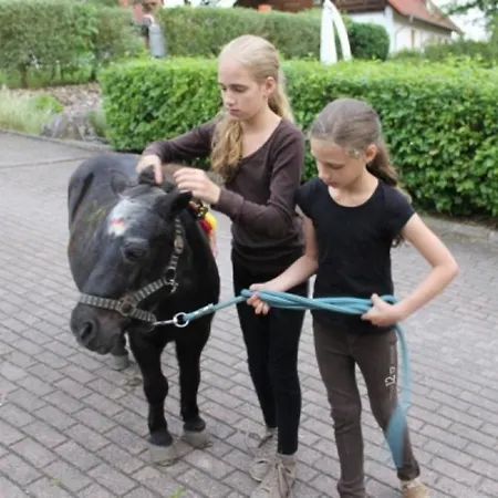 In Germany With Garden Terrace *