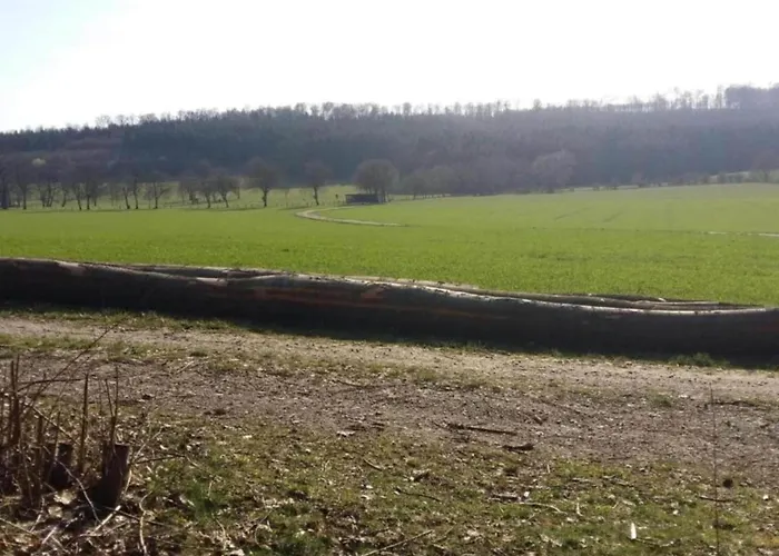 בית נופש In Germany With Garden Terrace *