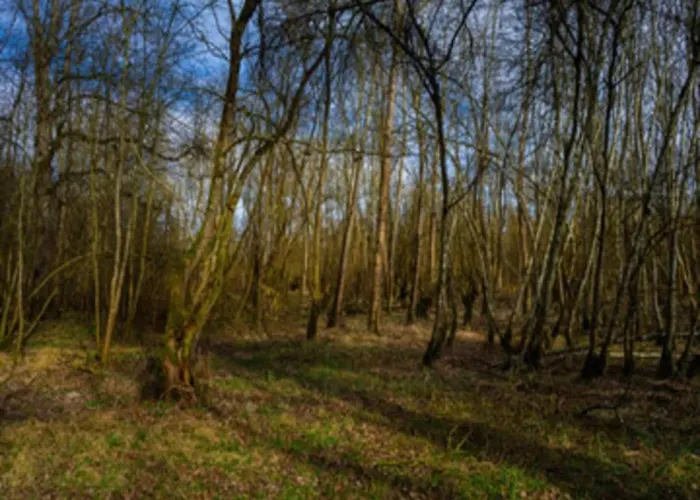 בית נופש In Germany With Garden Terrace *