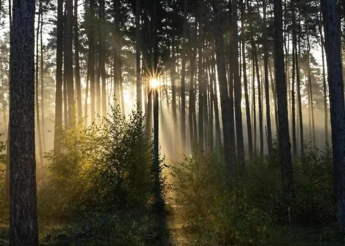 בית נופש In Germany With Garden Terrace Bredenborn