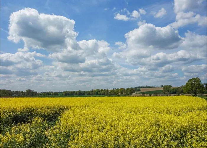 In Germany With Garden Terrace בית נופש