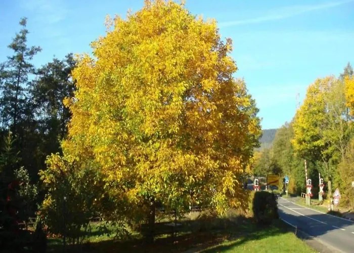 בית נופש In Germany With Garden Terrace *