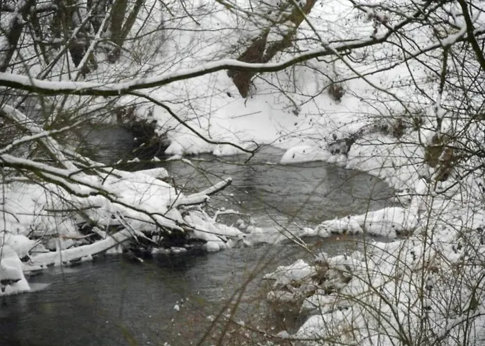 In Germany With Garden Terrace בית נופש Bredenborn