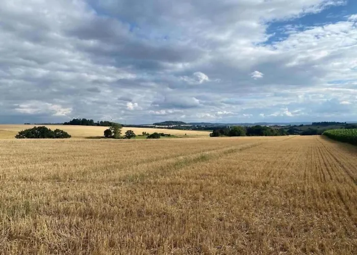 In Germany With Garden Terrace Bredenborn